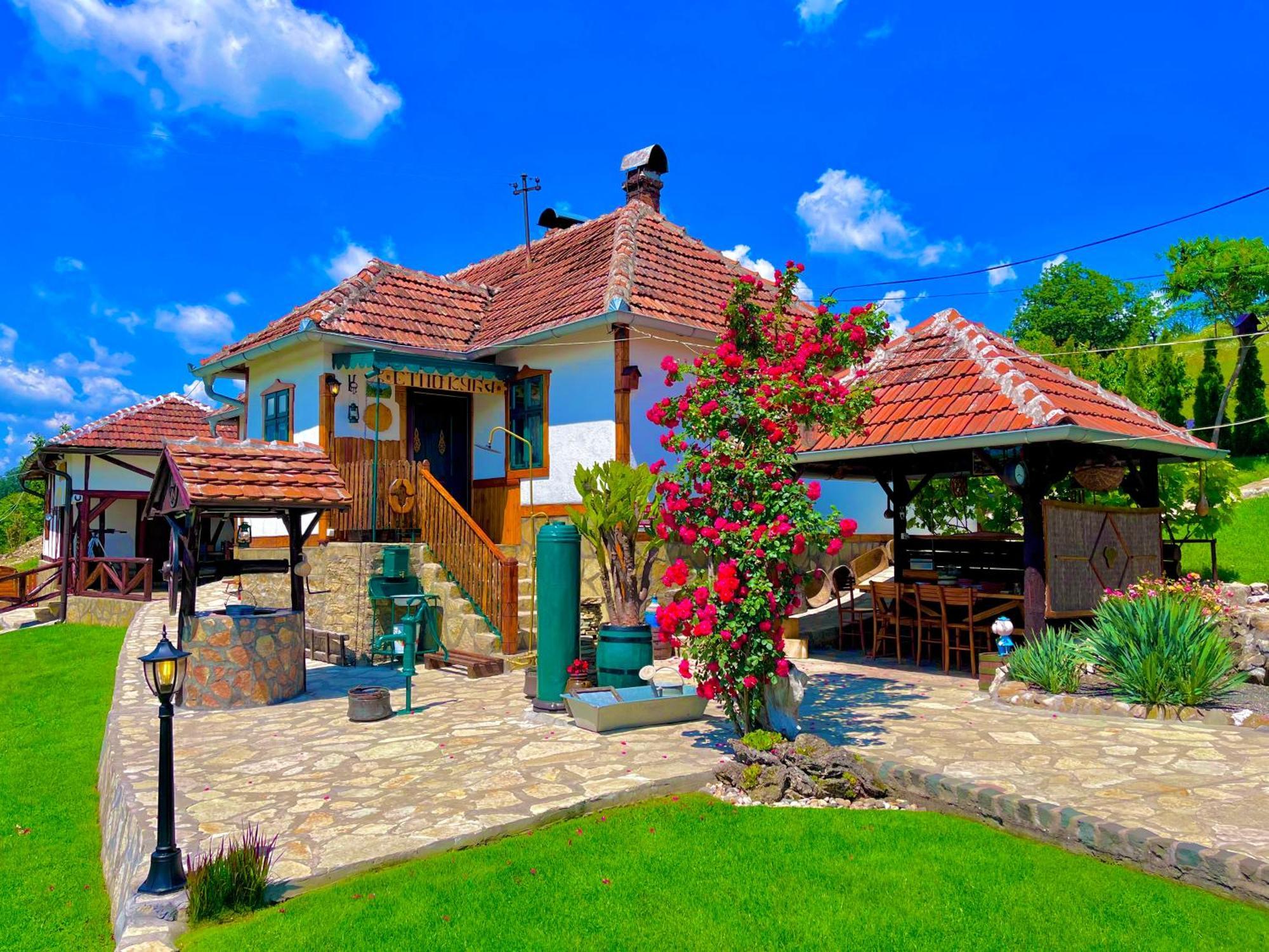 Hotel Etno Selo Stanojevic à Boljevac Extérieur photo